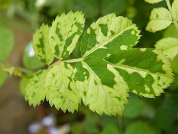 Various from 2010 (Fuji Finepix S8100fd) 187.jpg