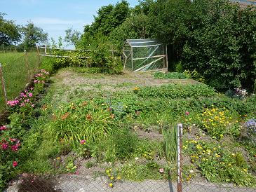 Garten 17-7-10.jpg