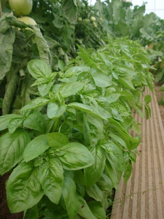 04080002s.JPG