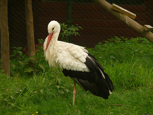 P1030166.JPG