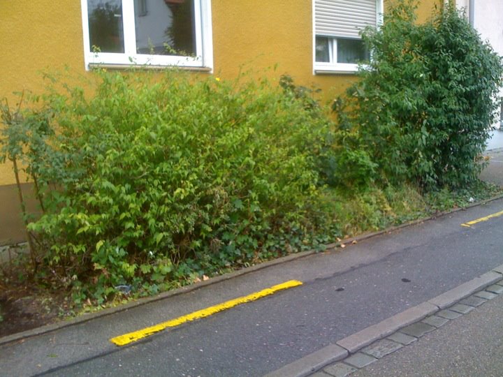 rechte Seite Rest.jpg