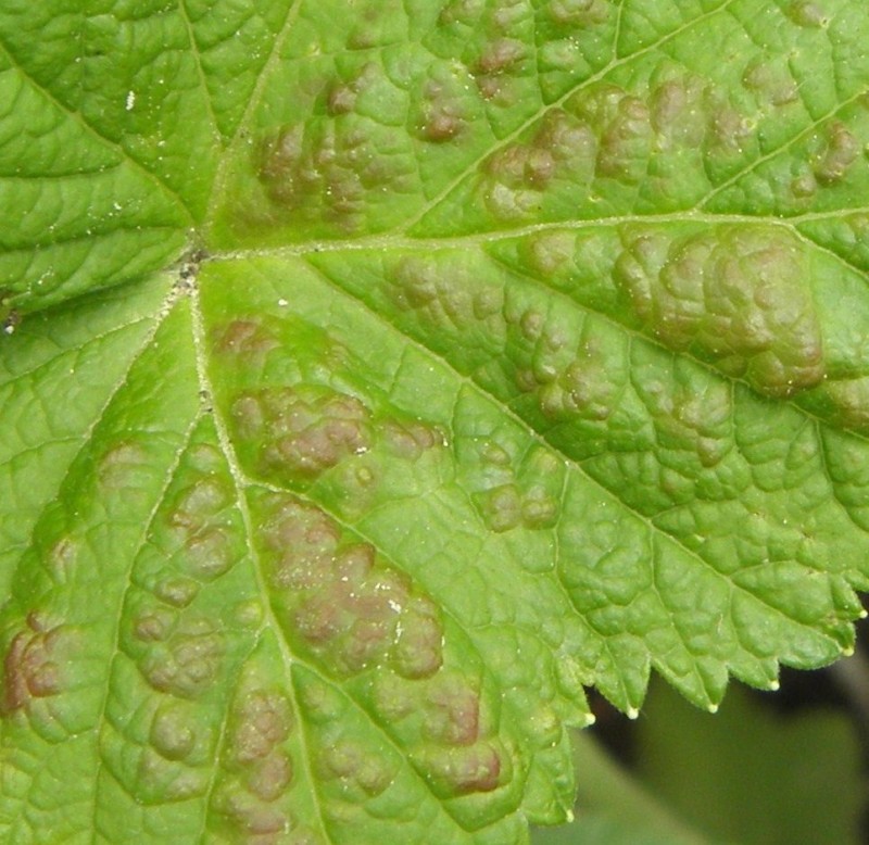 P5200086.JPG (222 KiB) 3685 mal betrachtet P5200086.JPG