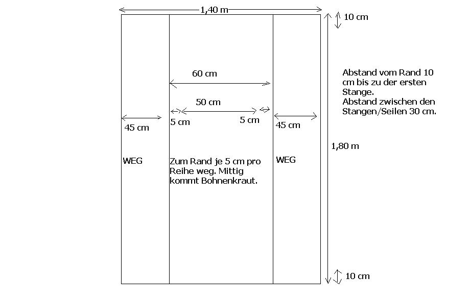Bohnenbeetabmessungen.JPG