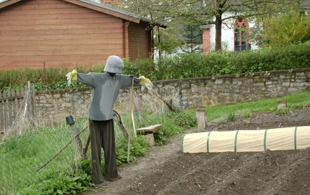 vogels01.JPG