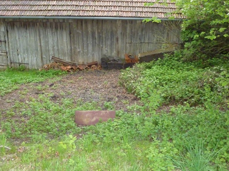 Hühnerauslauf5.jpg (196.41 KiB) 11108 mal betrachtet Hühnerauslauf5.jpg