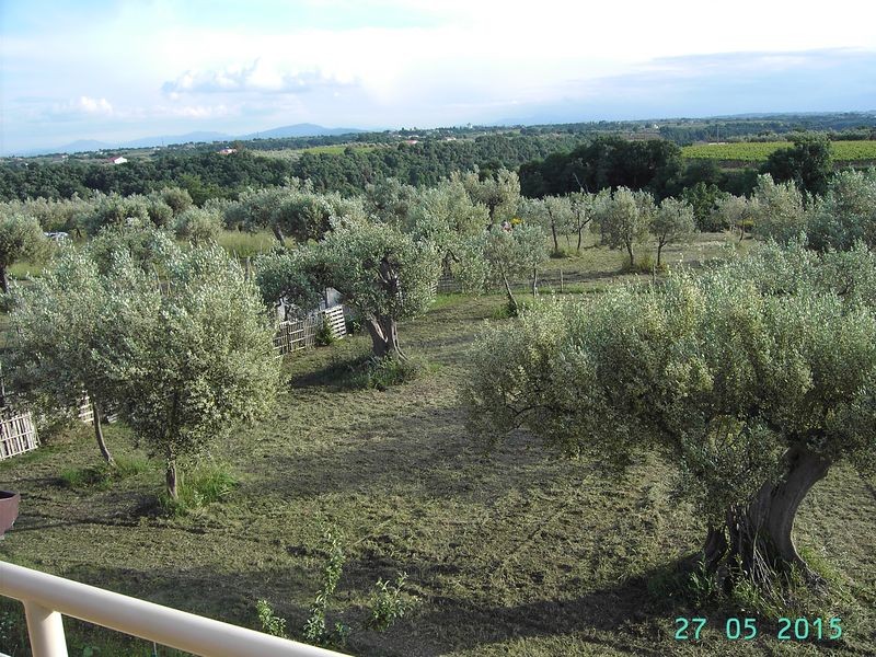 PICT4183_ergebnis.JPG