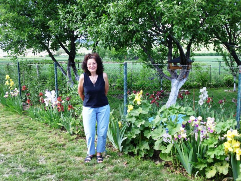 DSCI1062.JPG (240.37 KiB) 8067 mal betrachtet DSCI1062.JPG