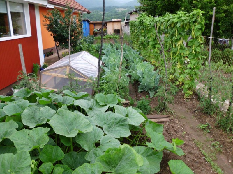 DSCI1123.JPG (180.3 KiB) 8075 mal betrachtet DSCI1123.JPG