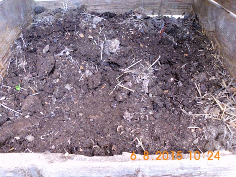 DSCI2785.JPG (212.07 KiB) 13376 mal betrachtet DSCI2785.JPG