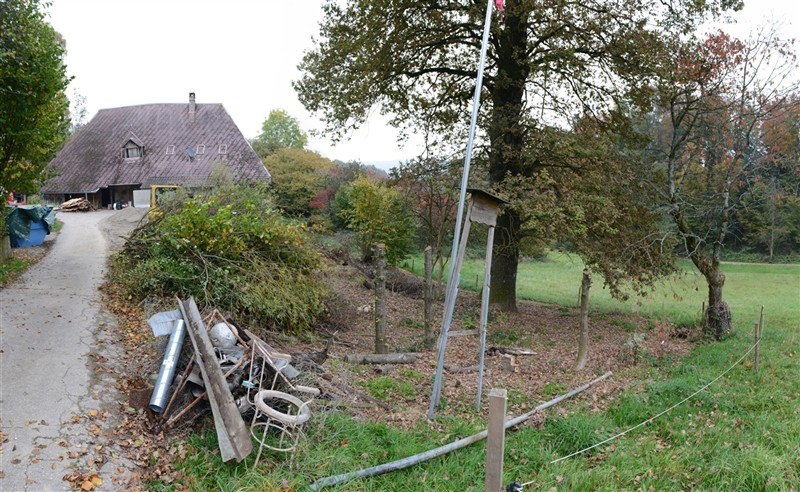 standort für beeren.jpg