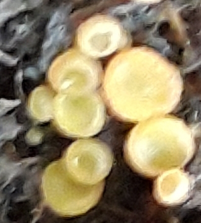 20190322_161511.jpg