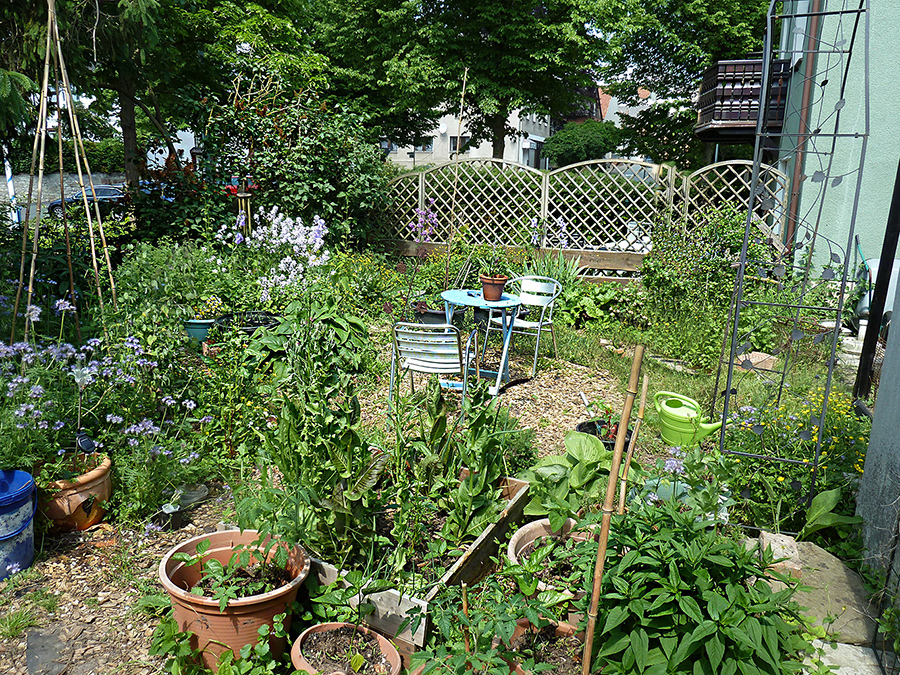 garten juni 21.jpg