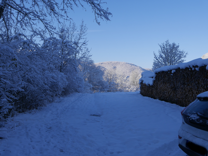 Das Gesamtbild der Winterfarben 2.JPG