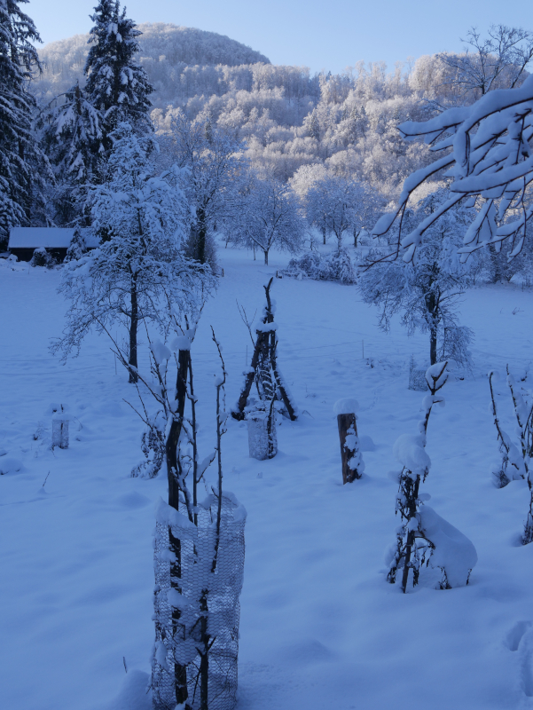 Das Gesamtbild der Winterfarben 1.JPG