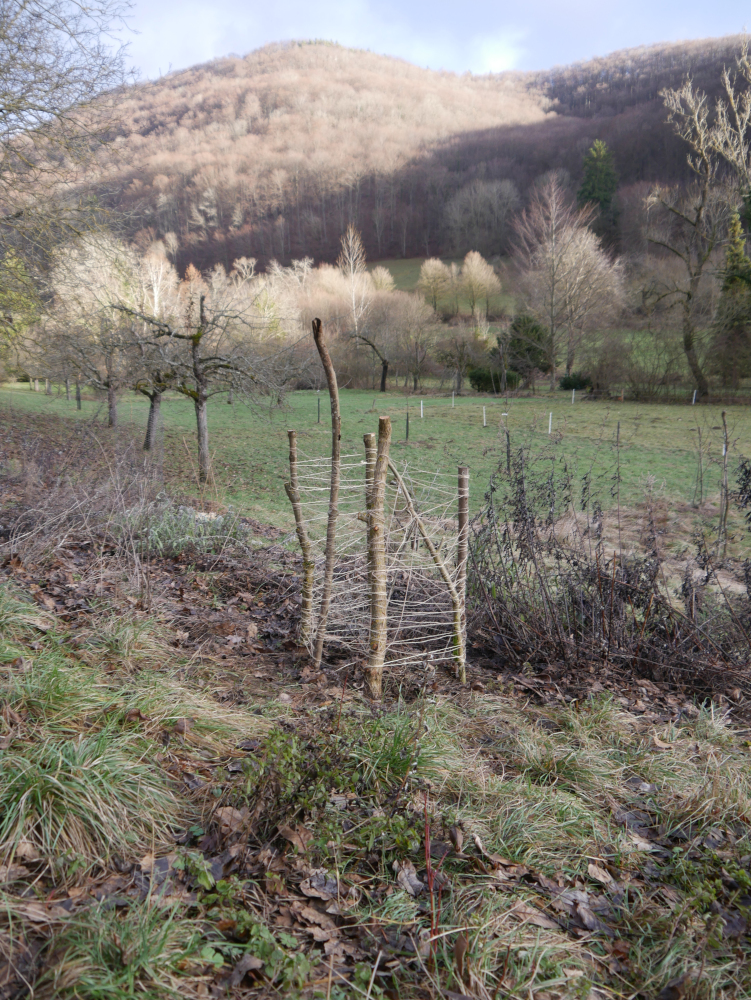 Der Sanddornschutz mit Panorama.JPG