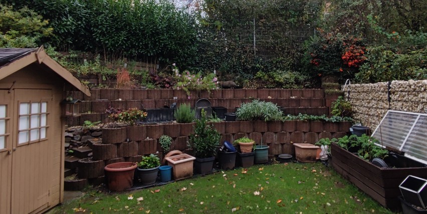 Screenshot 2024-09-17 153307.jpg