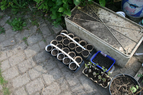 Speicherkarte 21.5.09 140.jpg