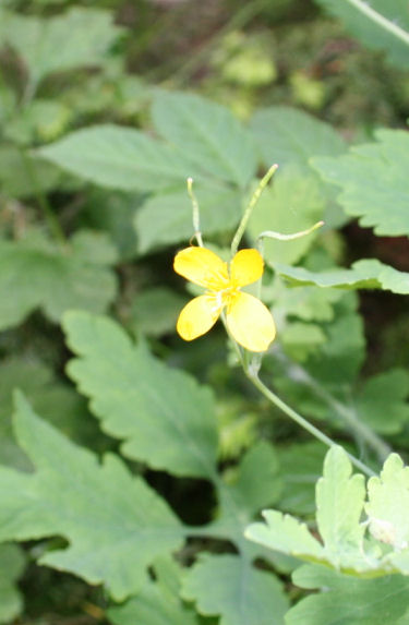 Speicherkarte 21.5.09 136.jpg