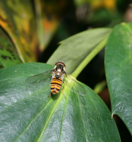 Speicherkarte 21.5.09 150.jpg