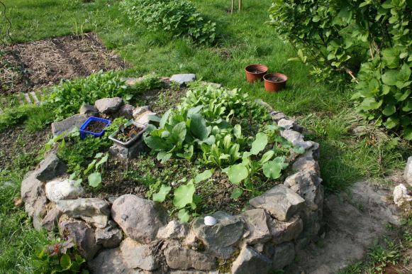 Speicherkarte 21.5.09 093.jpg