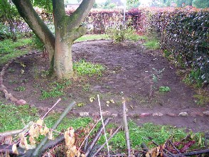 RIMG0971.JPG