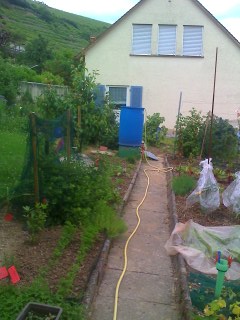 01-06-09_1711.jpg